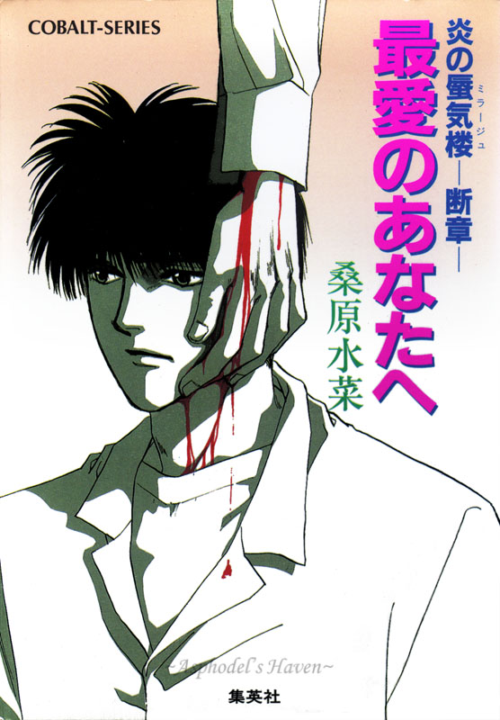 Honoo no Mirage Mirage of Blaze: - Fragment - To You, My Beloved cover