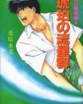 Honoo no Mirage 4 Mirage of Blaze volume 4: Amber Meteor Storm cover