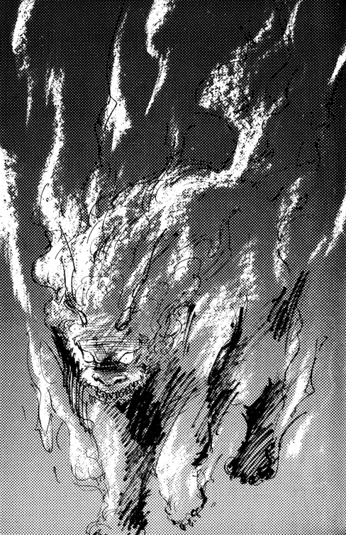 Mirage of Blaze volume 6 chapter 6 insert Mirage of Blaze volume 6 chapter 6 insert